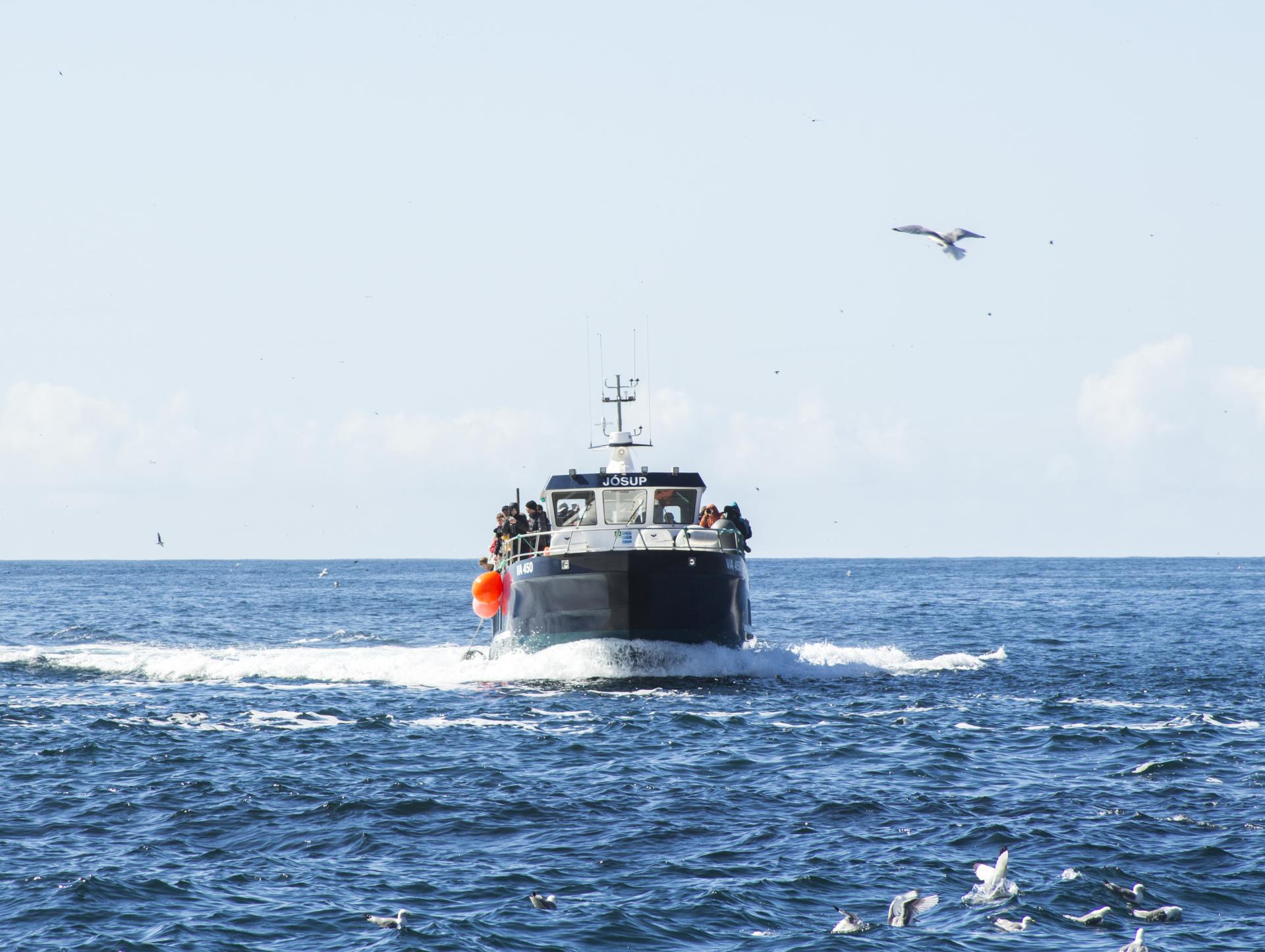 Ferry to Mykines