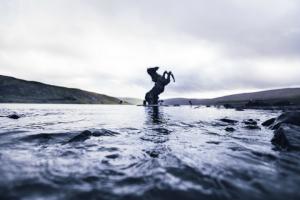 Nykurin, Leitisvatn/Sørvágsvatn