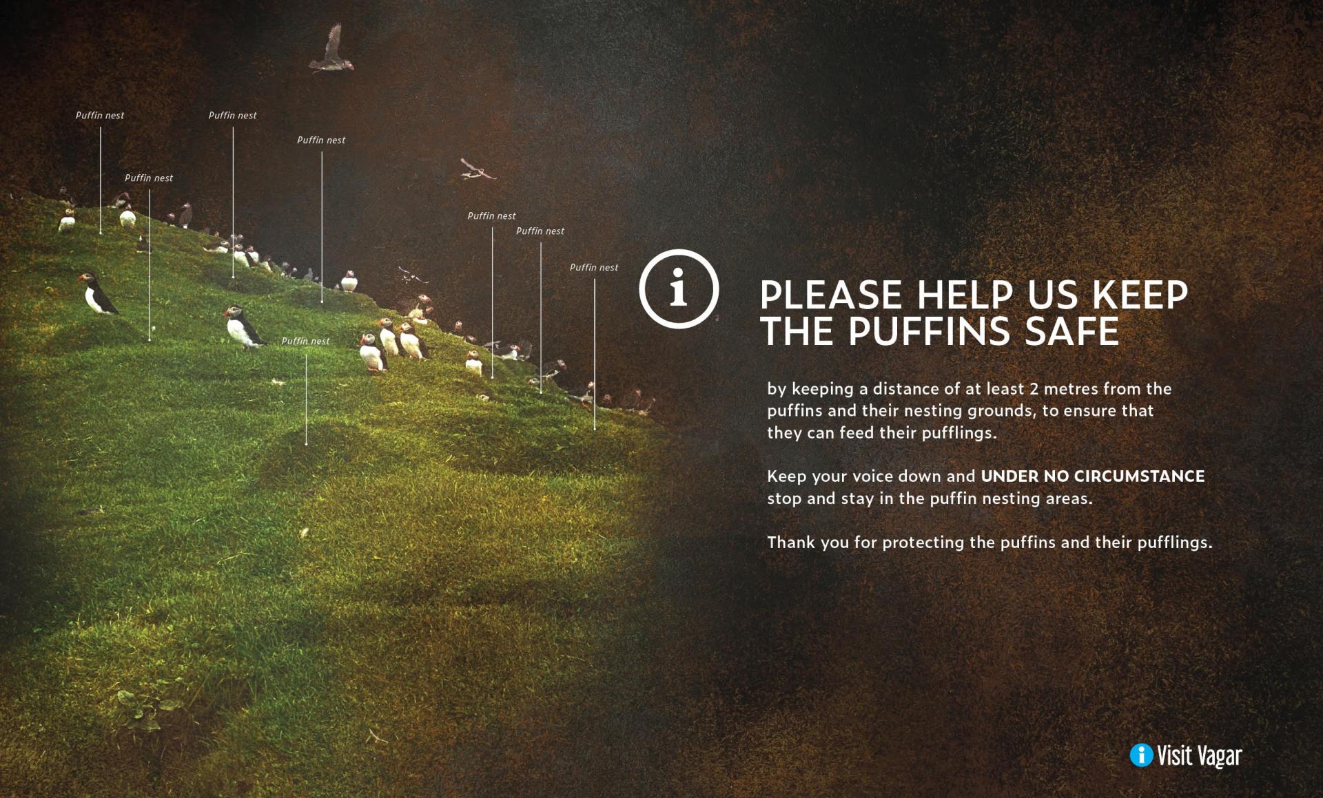Please help us keep the puffins safe