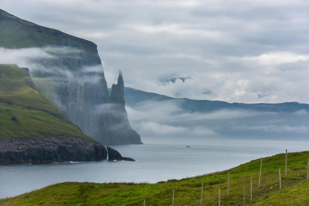 Trøllkonufingur